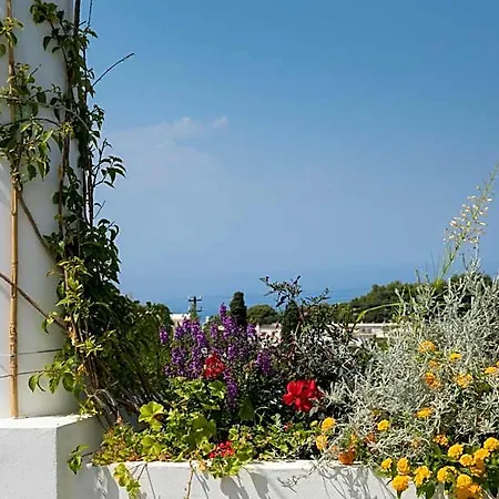 Casa Cristina 4* Anacapri (Isola di Capri)
