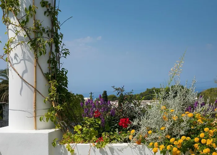 Casa Cristina Frühstückspension Anacapri (Isola di Capri)